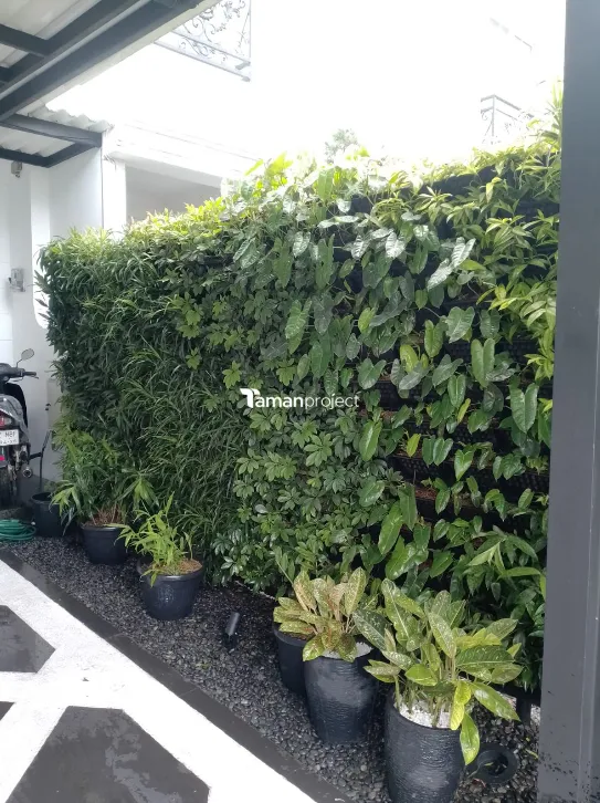 taman kering, zen garden, taman vertikal, vertical garden, bsd tangerang